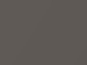 Nissan All Models Bronze Shimmer Metallic 2006 C14
