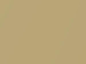 Nissan All Models Gold Pearl 1990 EJ0 - Scratch Repair