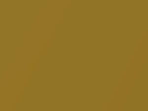 Daewoo All Models Golden Yellow Mica 2005 51U