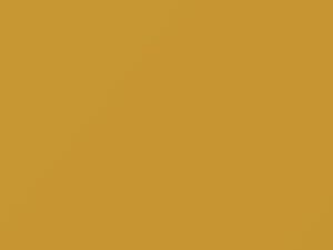 Nissan All Models Yellow 2001 ES3 - Scratch Repair