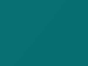 Toyota All Models Turquoise 2000 766
