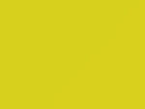 Toyota All Models Light Yellow 2004 592