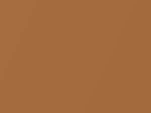 Lotus All Models Aztec Bronze Metallic 2003 B99