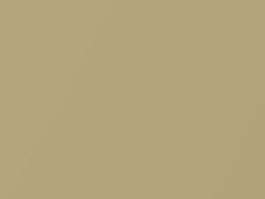 Toyota All Models Gold Metallic 2005 596