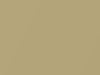 Toyota All Models Gold Metallic 2004 596