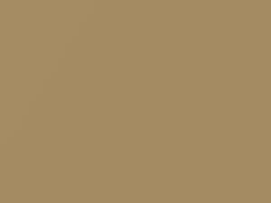 Daewoo All Models Goldish Beige Metallic 2004 67U