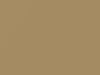 Daewoo All Models Goldish Beige Metallic 2004 67U