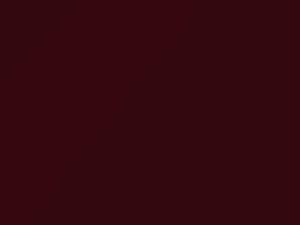 Fiat All Models Rosso Antonelli 1995 161A