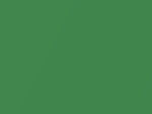 Hyundai Atoz Fairy Leaf Mica 2006 UO - Scratch Repair