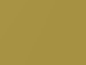 Nissan All Models Vivid Yellow Pearl 2006 E42 - Scratch Repair