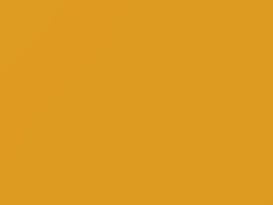 Mercedes-Benz Vario Calcite Yellow 2006 1-243, 1243, 243, P03