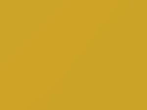 Toyota Yaris Yellow/Yellow Jolt 2009 5A6
