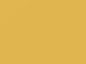 Nissan All Models Light Yellow 2001 EW2 - Scratch Repair