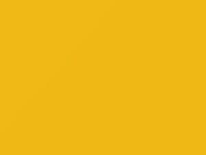 Ford All Models Zinc Yellow 1993 2742A, 522, ADAG, ADFA, N, N0, U, U4, U5, U6, UA3, V, V0, XSC2742, Z, Z8 - Scratch Repair