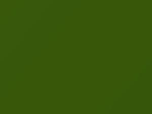 Dodge All Models Green-Go 1970 AY1FJ6, J6 - Scratch Repair