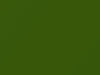 Plymouth All Models Sassy Grass Green 1970 AY1FJ6, J6