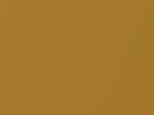 Honda Insight Inca Pearl 2011 Y61P - Scratch Repair