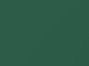 Hyundai All Models Jungle Green Metallic 1999 YC