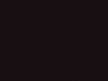Nissan All Models Brown Pearl 2019 D17