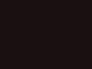 Nissan All Models Brown Pearl 2019 D17 - Scratch Repair