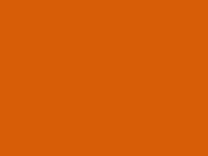 Ford Police Car School Bus Yellow 2010 6284, 6284A, 67, 84S53, 91S53, AL, B1, BY, JV8A, M6284A, MX7081255, NY - Scratch Repair