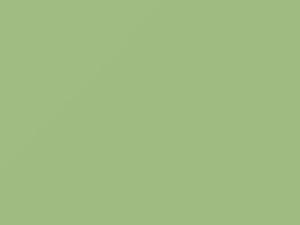 Mercedes-Benz Sprinter Weissgruen 2005 419, 6419