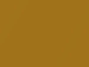 Jeep Wrangler Inca Gold Pearl 2002 AY112YY6, PY6