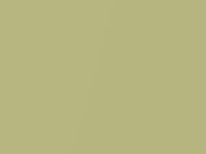 Honda All Models Matcha Cream Metallic 2016 G520M
