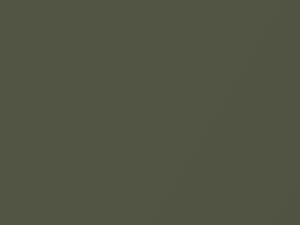 Daewoo Lacetti Khaki Green Mica 2005 44V