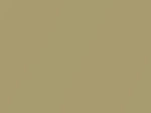 Hyundai All Models Golden Beige Metallic 2000 YR