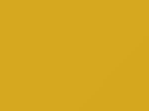 Toyota All Models Yellow 2005 5A1