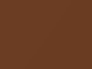 Nissan All Models Brown Metallic 2003 CW0