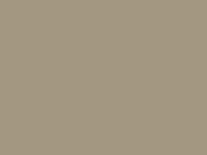 Kia All Models Sand Beige Metallic 1994 C1