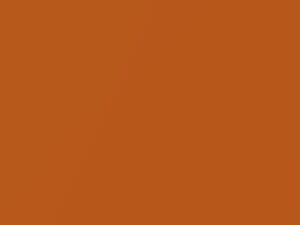 Buick All Models Pumpkin Metallic 1973 4464, 80, WA4464