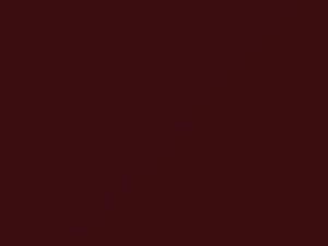 Saturn LW2 Dark Red Metallic 2001 51