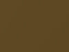Buick All Models Antique Gold Metallic 1972 4266, 57, WA4266