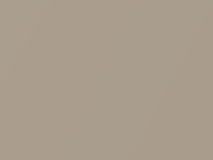 Toyota All Models Beige Metallic 2019 4U9