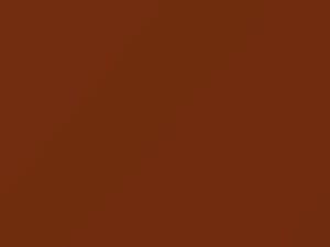 Dodge All Models Ginger Tan 1980 AY69TT6, DT6543, TT6 - Scratch Repair