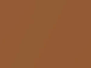 Ford All Models Dark Caramel Metallic 1984 5G, M5757A