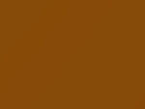 Chevrolet All Models Ochre 1972 511, 5202, WA5202