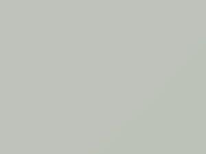 Fiat All Models Bianco 2011 204B