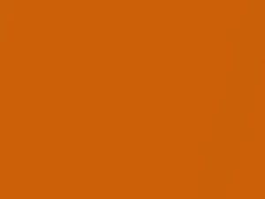 Lotus All Models Burnt Orange 2010 B135
