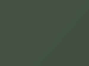 Fiat 500 Verde Libero E Bello 2015 309, 309B, KGA, PGA - Scratch Repair