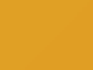 Hyundai All Models Sunny Yellow 2008 PV
