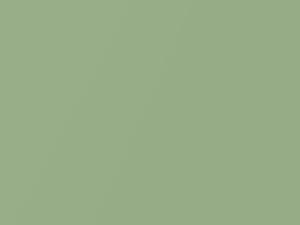 Hyundai All Models Apple Green Metallic 2009 G8