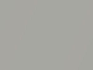 Volkswagen All Models Opal Silver Metallic 2010 9A9A