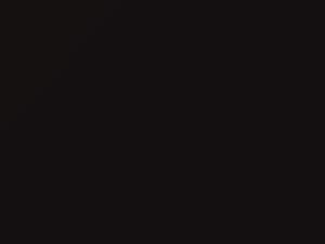 Nissan All Models Red Zone Black Metallic 2012 GAD - Scratch Repair