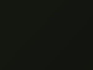 Honda All Models Plasir Green 2003 G518 - Scratch Repair