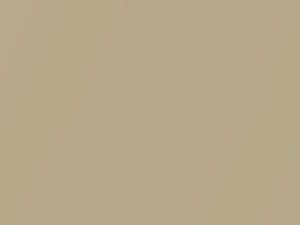 Saab All Models Golden Sand Mica 1998 262 - Scratch Repair