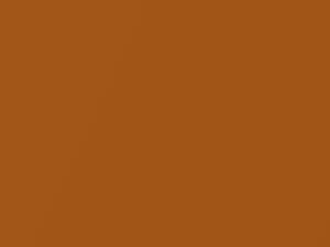 Honda All Models Orange Revolution Metallic 2010 YR576M - Scratch Repair